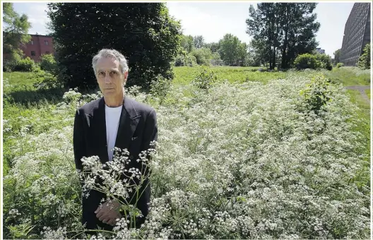  ?? PIERRE OBENDRAUF THE GAZETTE ?? Roger Latour’s field of
dreams
find beauty in weeds
Roger Latour in the Champs des Possibles in Mile End. “Stick around long enough, be observant,” he says. “You will find a whole world you never knew was there.”