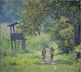  ?? ?? The seven northeaste­rn states of India featured among top 10 states with maximum tree cover loss in the past 20 years.