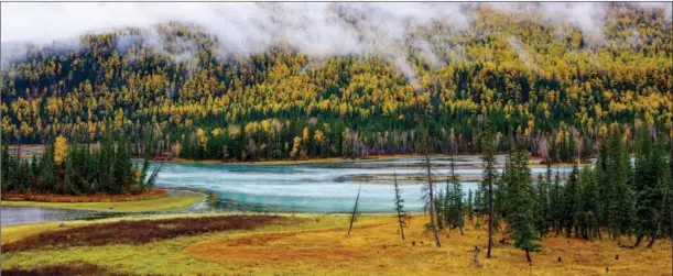  ?? YUAN HUANHUAN / FOR CHINA DAILY ?? Spectacula­r scenery draws visitors to the Kanas Nature Reserve in the Xinjiang Uygur autonomous region’s Altay in autumn.