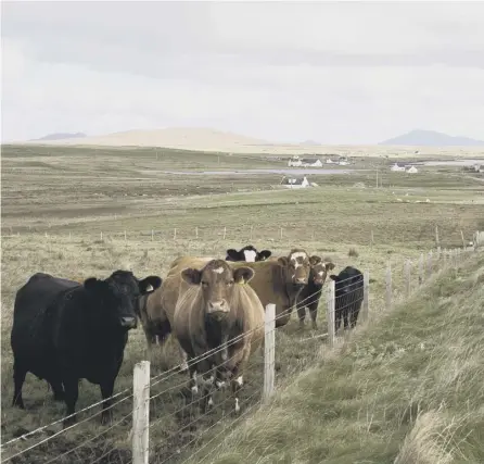  ??  ?? 0 A typical scene on North Uist. Residents predict the renewables scheme will provide revenues to the community for more than 20 years