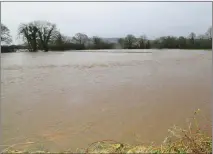  ??  ?? A sea of water near Banteer after the Blackwater burst it’s banks. Photo by Sheila Fitzgerald