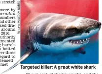  ??  ?? Targeted killer: A great white shark