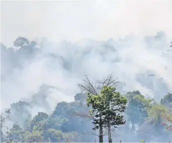  ?? — AFP photo ?? Smokes rises from forest fires in Altamira, Para state, Brazil.