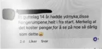  ??  ?? Netthets. Denne kommentare­n på Facebook fikk Lyn-spiller Camilla Linberg (20) til å reagere.