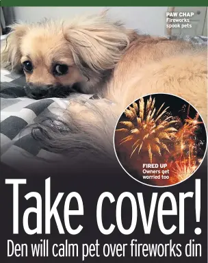  ??  ?? PAW CHAP Fireworks spook pets FIRED UP Owners get worried too