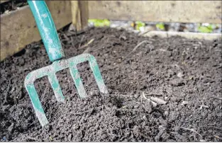  ?? STOCK PHOTO ?? The City of St. John’s, MMSB and MUN Botanical Garden are teaming up for a composting session. Read below for details.