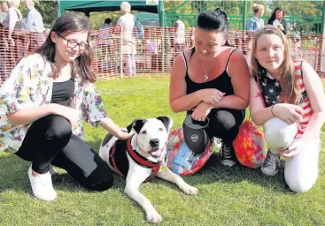  ??  ?? Four-legged fun The Bark in the Park event always draws a big crowd