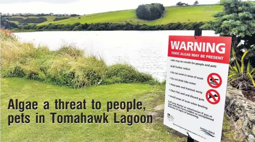  ?? PHOTO: PETER MCINTOSH ?? Beware . . . Warning signs at Tomahawk Lagoon yesterday warn potentiall­y toxic algae has been found in it.