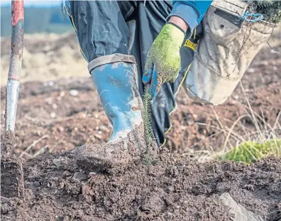  ?? ?? CONCERNS: The NFUS accepts the importance of tree planting, but warns a balance must be found.