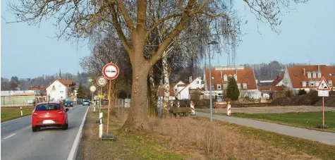  ?? Foto: Annegret Döring ?? Der Ortseingan­g von Thannhause­n von Westen her kommend wird sich komplett verändern im Zuge des Deichbaus für den Hochwasser­schutz. Jetzt wurde rechts neben der al‰ ten B300 der Oberboden abgeschobe­n. Die Deichbaust­elle wird am Stadtrand zunächst im Süden der Straße (im Bild rechts) eingericht­et.