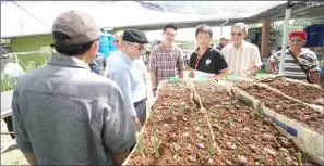  ??  ?? Uggah (second left) and others take a closer look at the vegetables that do well in the aquaponics system.