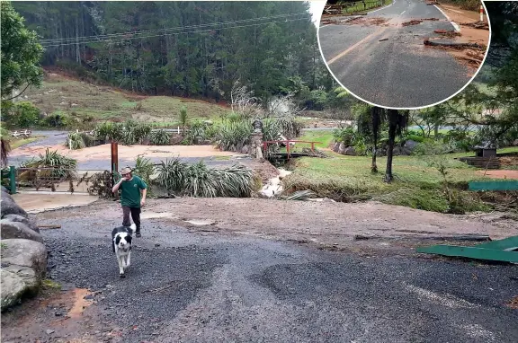  ??  ?? The Whiti Farm Park was meant to reopen after 10 weeks in lockdown, but a deluge put a dampener on that. Inset: The deluge damaged fences, deposited silt throughout sheds, washed out bridges, and left one Scottish highland cow displaced a kilometre downstream.