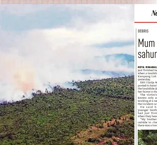  ?? PIC COURTESY OF FIRE AND RESCUE DEPARTMENT ?? An aerial view of the massive fire at a coconut plantation near the Kuantan-Sungai Ular bypass in Balok Baru yesterday.