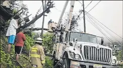  ?? Foto: José Pizza / EXTRA ?? El colapso de un árbol dejó sin luz a los moradores de la cooperativ­a 25 de Julio.