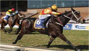  ?? GOLD CIRCLE ?? Ashton Arries rides Eachway prospect Double ‘O’ Eight at Greyville today. /