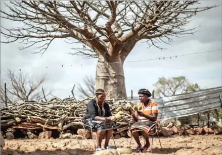  ?? MARCO LONGARI/AFP ?? Baobab fruits harvesters Annah Muvhali, 55, (left) and Cristina Ndou hold baobab fruits they harvested in the village of Muswodi Dipeni in the Limpopo Province, near Mutale, on August 28.