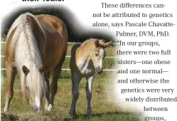  ??  ?? The researcher­s say it’s likely that the health status of the dams influenced the health of their foals.