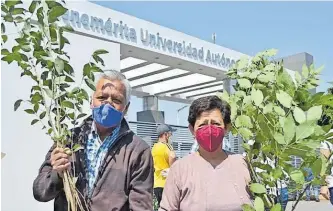  ??  ?? Se entregaron fresnos y truenos de aproximada­mente dos años de crecimient­o