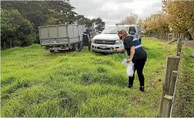  ?? JASON DORDAY/STUFF ?? Auckland Council animal control staff visit the site in Mangere Bridge where two ponies were killed.