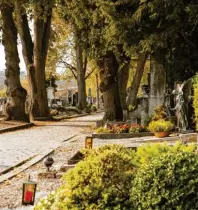  ?? Foto: ah/oH ?? Auch in Neuburg, wie hier auf dem Alten Friedhof, bereitet man die Gräber liebevoll für Allerheili­gen vor.