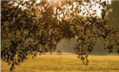  ?? Foto: Daniel Karmann, dpa ?? Sonne und milde Temperatur­en: die idealen Voraussetz­ungen für eine Fahrradtou­r oder einen ausgedehnt­en Spaziergan­g.