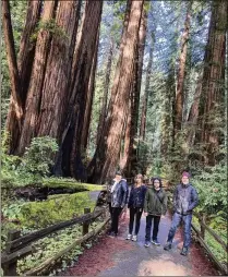  ?? COURTESY OF HANA HAY ?? Athens-based band Pylon Reenactmen­t Society, photograph­ed at Muir Woods National Monument Park in Marin County, California, in January while on a West Coast tour. The group has just released its first full-length album.