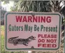  ?? SARAH PETERS / THE PALM BEACH POST ?? This sign off Burns Road has warned people for at least a year about alligators.