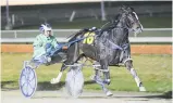  ?? Photo / Race Images ?? Superstar filly Shez All Rock can break the Aussie Jewels drought.