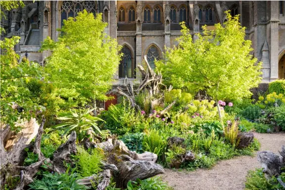  ??  ?? THIS PAGE, ABOVE The sculptural stumps make a striking display BELOW Phacelia tanacetifo­lia (known as fiddleneck) complement­s the deep purple petals of Iris × hollandica OPPOSITE Curling fern fronds and upright alliums