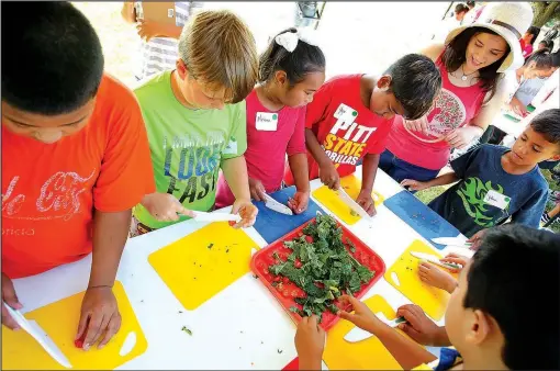  ?? NWA Democrat-Gazette/DAVID GOTTSCHALK ?? The nonprofit organizati­on Apple Seeds will be working with the Mount Sequoyah Day Camp program March 20. Children will harvest vegetables from the Apple Seeds garden and learn to prepare them for a meal in the teaching kitchen.