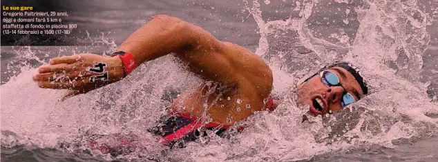  ?? ?? Le sue gare
Gregorio Paltrinier­i, 29 anni, oggi e domani farà 5 km e staffetta di fondo; in piscina 800 (13-14 febbraio) e 1500 (17-18)
