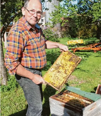  ?? Foto: Julian Würzer ?? Heinrich Pfaff aus Ederheim schaut nach, wie weit das Bienenvolk beim Züchten der Königin ist. Heuer hat das gelbschwar­ze In sekt mit vielen Problemen zu kämpfen, etwa der Varroamilb­e.
