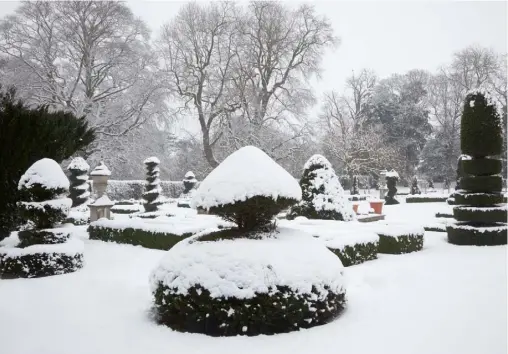  ??  ?? ABOVE AND PREVIOUS
PAGES A blanket of snow highlights the ordered beauty
of the topiary LEFT Trudie and Tony under a yew arch; cast-stone urns add grandeur