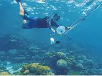  ?? ?? LEFT AND BELOW LEFT Presenter and naturalist Steve Backshall scuba dives on the reefs in the Maldives for the BBC’s Our Changing Planet.