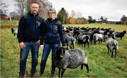  ?? Bild: Isabel Bark ?? Marcus och Viktoria Gustavsson driver Långaryds lamm. Deras affärsidé är att ha både päls- och köttraser. De olika raserna skiljer sig mycket från varandra, både till utseende och beteende. ”Pälsarna är alerta, springer runt och rymmer medan de vita lammen håller sig på samma ställe”, berättar Viktoria.