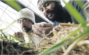  ??  ?? Cascadia Agricultur­al Co-operative Associatio­n co-founders Joel Podersky, left, and Semir Yusuf do a soil sniff test at their facility in Roberts Creek. — THE CANADIAN PRESS