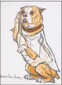  ??  ?? A drawing of the planned sculpture of Sgt. Stubby.