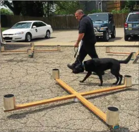  ?? TAWANA ROBERTS — THE NEWS-HERALD ?? Painesvill­e Township Fire Department Lt. Gordon Thompson trains his accelerant detection K-9 Ian on May 17. Thompson and Ian recently returned from their first federal deployment in San Juan, Puerto Rico.