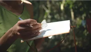  ??  ?? An expedition member notes the characteri­stics of a butterfly on a notebook, near Mogoumba. In the Lobaye forest, southwest of the Central African Republic, an expedition is trying to find the first larval stage of the giant swallowtai­l