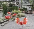  ??  ?? WORLD OF BIRDS