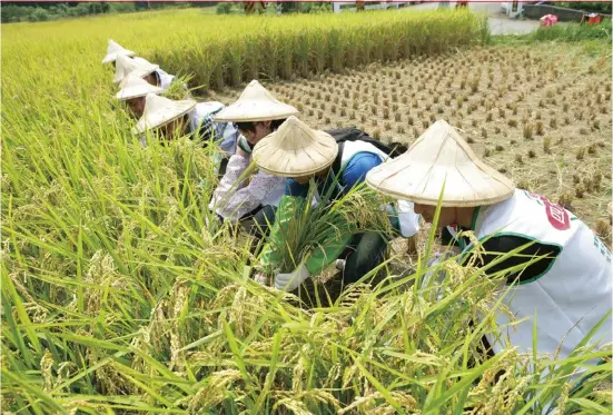  ?? 信義房屋提供 ?? 攜手伙伴共創雙贏，才能實踐企業成長與社­會共榮的永續未來。（圖為信義房屋的地方參­與行動）