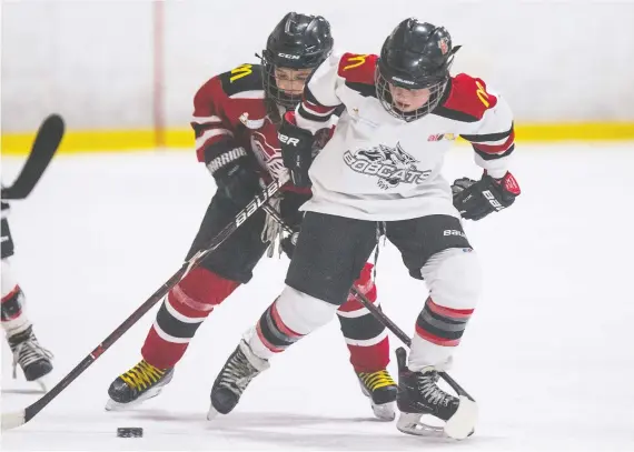  ?? MATT SMITH FILES ?? SMHA teams are allowed to hold practices with eight players, which associatio­n official Kelly Boes says isn't ideal but is good for the kids' physical and mental health.