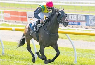  ?? Photo / Race Images ?? The Chosen One will contest the Haunui Farm WFA Group One Classic (1600m) at Otaki today.