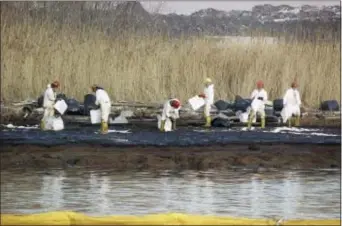  ?? AP PHOTO/MIKE DERER ?? In this Jan. 9, 1990, file photo, cleanup workers lay down absorbent sheets to soak up No. 2 heating oil on bird sanctuary Pralls Island between Linden, New Jersey and Staten Island, New York. Up to 567,000 gallons of oil leaked from an underwater...