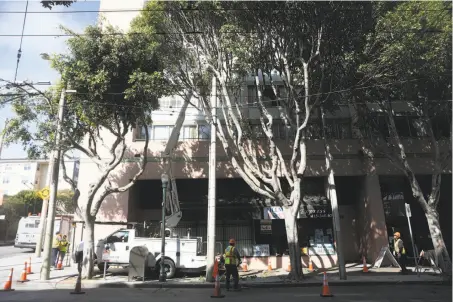  ?? Lea Suzuki / The Chronicle ?? S.F. city workers tend to Fillmore Street trees under the nascent tree-trimming program that stems from a 2016 ballot measure.