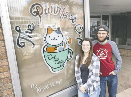  ?? MICHELLE BERG ?? Sydney Sylvester and Casey Swatlowski are opening Saskatoon's first cat café. Beyond serving coffees, teas and treats, patrons have the option to go into a room housing cats from the Battleford­s Humane Society. These cats are also available for adoption to qualified candidates.