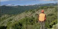  ?? (Photo DR) ?? L’Union des chasseurs seynois et la Société de chasse Le Lièvre organisent ponctuelle­ment des battues aux sangliers sur les  ha de la forêt de Janas.