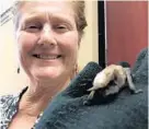  ??  ?? Blissett-Clark holds Kahuna, one of her two rescue bats she brought to the Orange County Administra­tion Building on Tuesday.