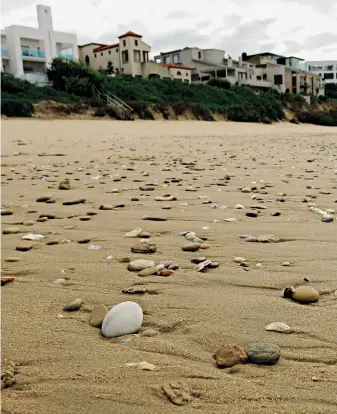  ??  ?? Wildernis se strand... 18 km van mensspore, hondespore, skulpe en spoelklipp­e. Met die warm waters van die Indiese Oseaan wat aan jou voete lek.