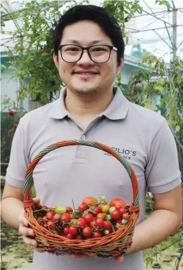  ??  ?? Basilio’s Aquaponics Farm owner, Franz Chung, showing native and fresh cherry tomato harvests. (Photo by RDM)